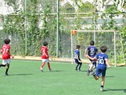 MIS Sports